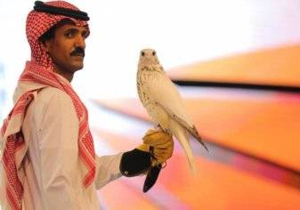 السعودية تبيع أغلى "صقر" في العالم.. والسعر؟