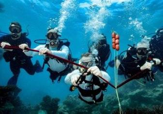دولة خليجية تحتضن أول قرية في العالم للحفاظ على الشعب المرجانية (صور)