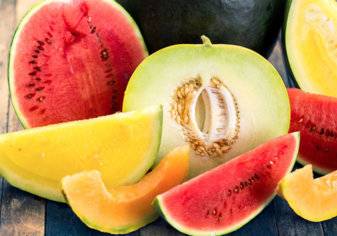 البطيخ أم الشمام - أيهما أكثر ترطيبًا وأكثر فائدة لصحتك في فصل الصيف؟