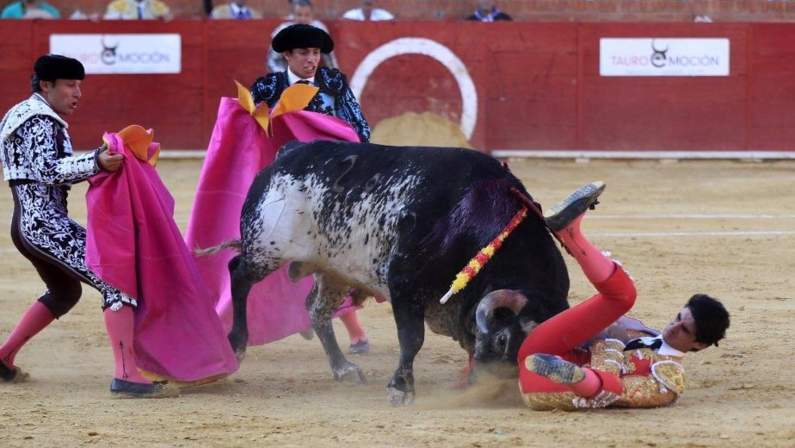 لقي مصارع ثيران مصرعه إثر طعنة من ثور خلال أحد المهرجانات بإسبانيا.