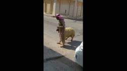 سعودي يخرج خروف من سيارة5.jpg