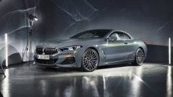 BMW-8-Series_Convertible-2019-1024-21.jpg