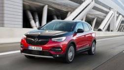Opel-Grandland_X_Hybrid4-2019-1024-07.jpg