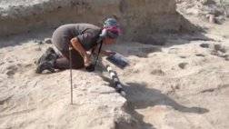 قبل-1500-سنة..-“شاهد”-اكتشافات-“عيال-ساحل-عُمان”-الأثرية.jpg