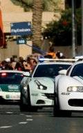 سيارات شرطة دبي
