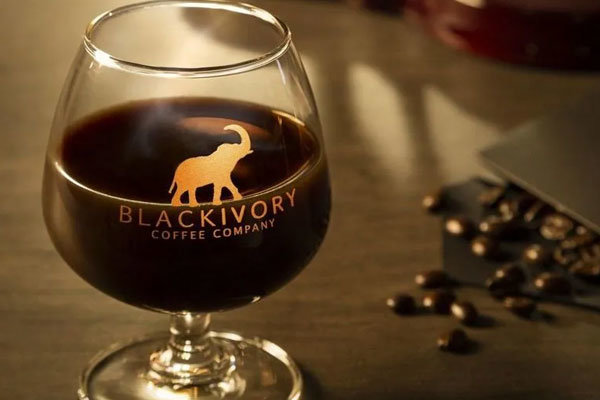 القهوة السوداء العاجية "روث الفيل" – 1000 دولار للرطل الواحد