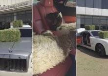 أمير سعودي يشهر بوكيل رولز رويس علي طريقته الخاصة