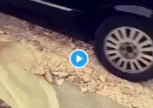 فيديو "شبان يقومون بدهس الخبز بمركبتهم" يثير غضب مواق التواصل