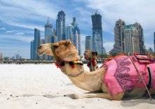 بالأرقام: حجم إنفاق السياح الدوليين داخل السوق الإماراتية