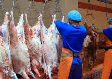ما أسباب ارتفاع أسعار الدواجن واللحوم في الإمارات؟